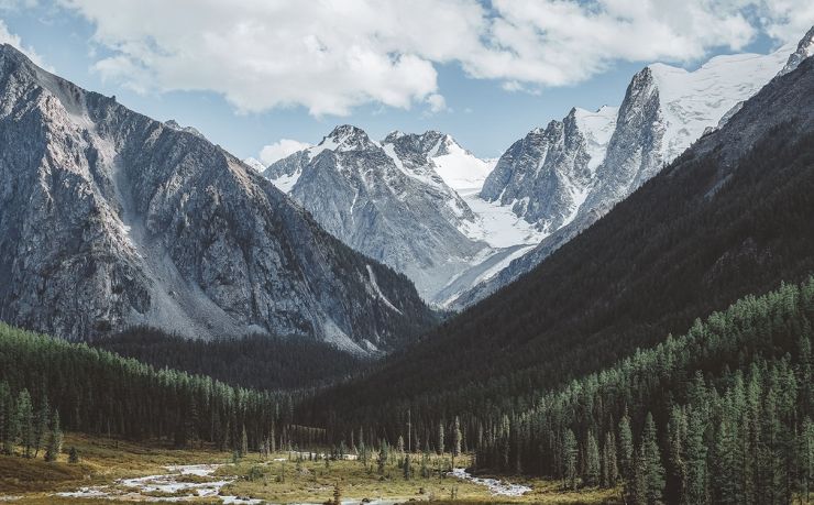 菲律宾移民中介公司